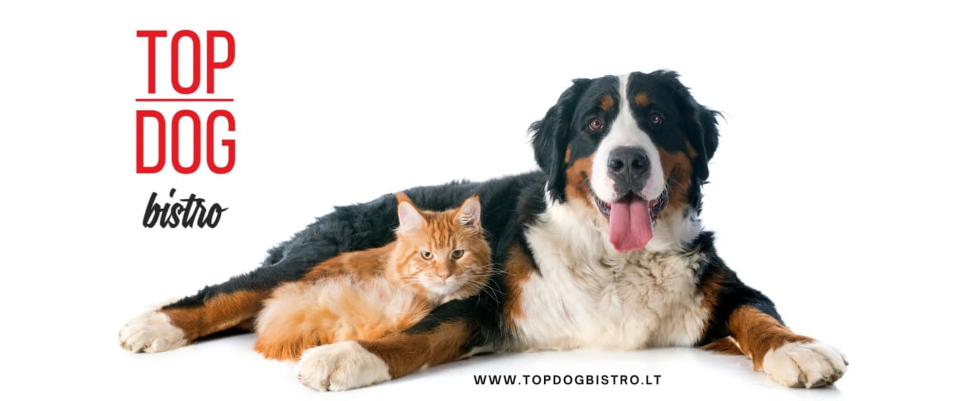 Top Dog Bistro – čerstvé a ručne vyrábané BARF menu, výživa psích šampiónov